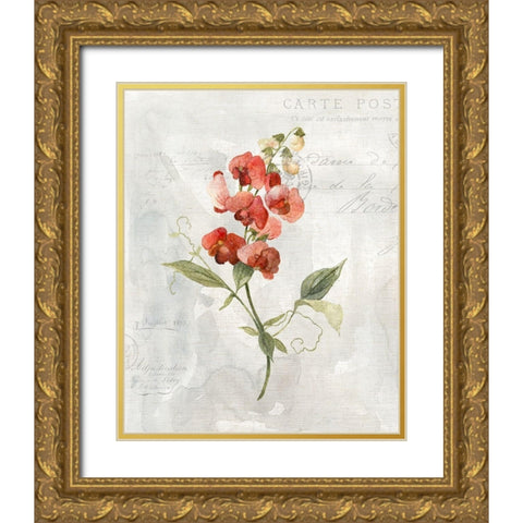 Linen Sweet Pea Gold Ornate Wood Framed Art Print with Double Matting by Robinson, Carol
