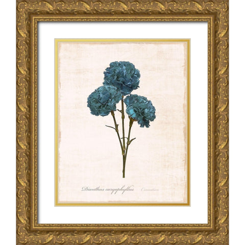 Sketchbook Carnation Gold Ornate Wood Framed Art Print with Double Matting by Carpentieri, Natalie