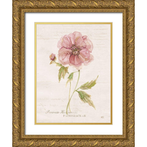 Soft Peony Gold Ornate Wood Framed Art Print with Double Matting by Robinson, Carol