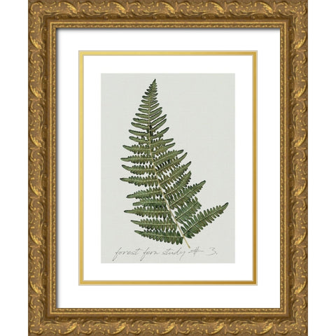 Fern Studies I Gold Ornate Wood Framed Art Print with Double Matting by Robinson, Carol