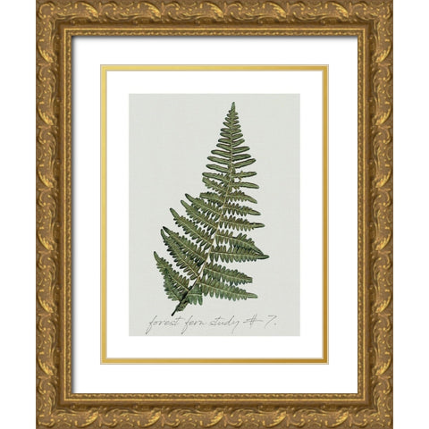 Fern Studies II Gold Ornate Wood Framed Art Print with Double Matting by Robinson, Carol