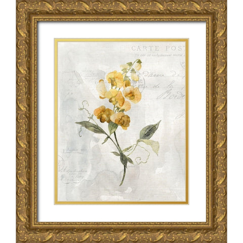 Canary Linen Sweetpea Gold Ornate Wood Framed Art Print with Double Matting by Robinson, Carol