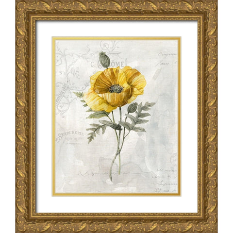 Canaray Linen Poppy Gold Ornate Wood Framed Art Print with Double Matting by Robinson, Carol
