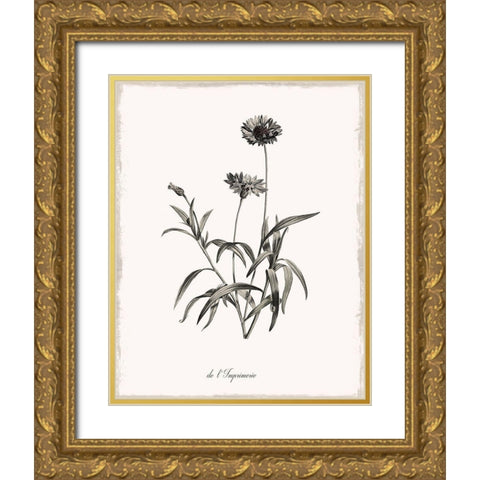 Sketchbook Imperial Gold Ornate Wood Framed Art Print with Double Matting by Donovan, Kelly