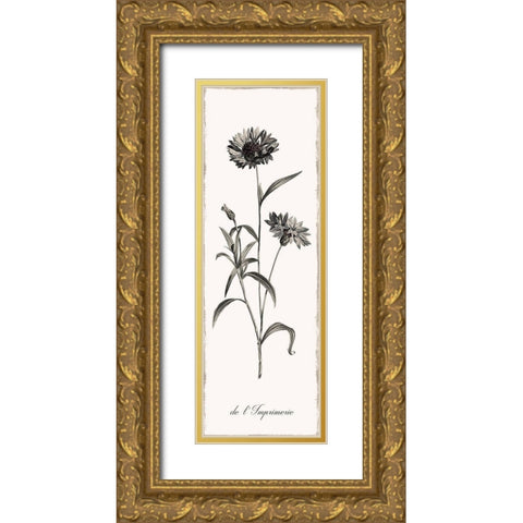 Slender Imperial Gold Ornate Wood Framed Art Print with Double Matting by Donovan, Kelly