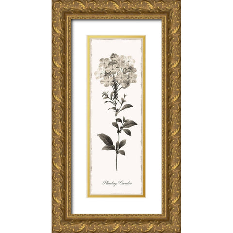 Slender Leadwort Gold Ornate Wood Framed Art Print with Double Matting by Donovan, Kelly