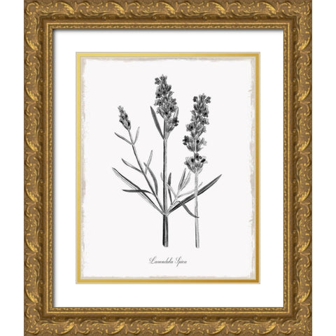 Simply Lavender Gold Ornate Wood Framed Art Print with Double Matting by Donovan, Kelly