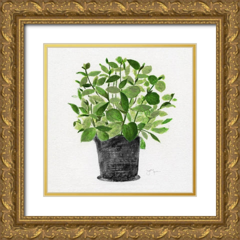 Herb Garden I Gold Ornate Wood Framed Art Print with Double Matting by Tava Studios