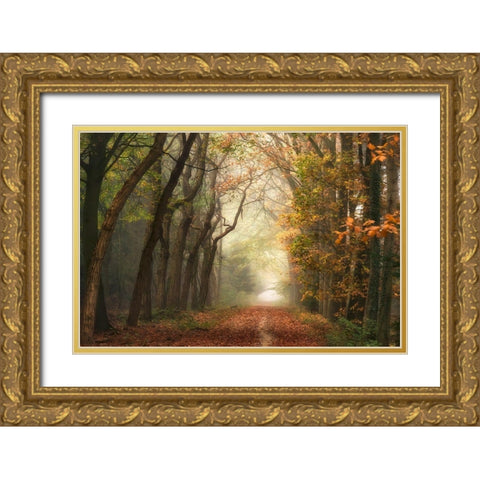 Path of Dreams Gold Ornate Wood Framed Art Print with Double Matting by Van de Goor, Lars