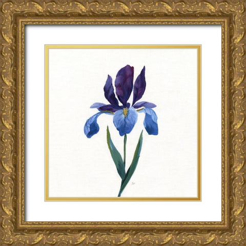 Simple Botanical II Gold Ornate Wood Framed Art Print with Double Matting by Nan