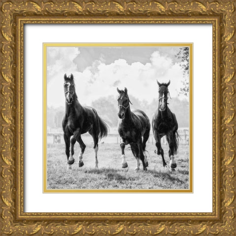 Three of a Kind Gold Ornate Wood Framed Art Print with Double Matting by Van de Goor, Lars