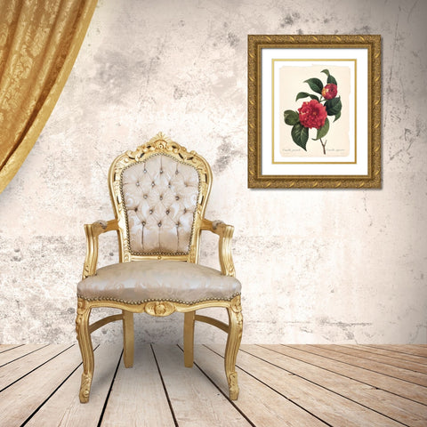 Red Botanical I Gold Ornate Wood Framed Art Print with Double Matting by Robinson, Carol
