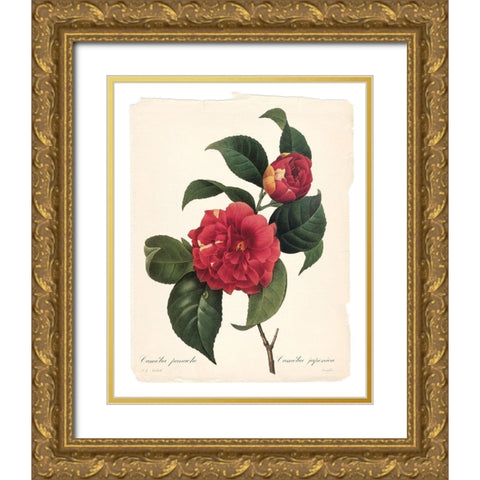 Red Botanical I Gold Ornate Wood Framed Art Print with Double Matting by Robinson, Carol