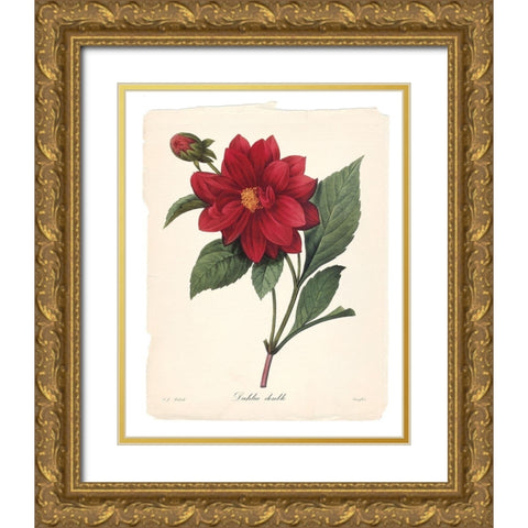 Red Botanical II Gold Ornate Wood Framed Art Print with Double Matting by Robinson, Carol