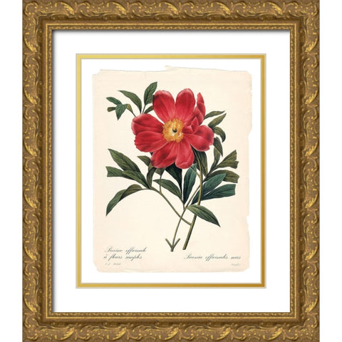 Red Botanical IV Gold Ornate Wood Framed Art Print with Double Matting by Robinson, Carol