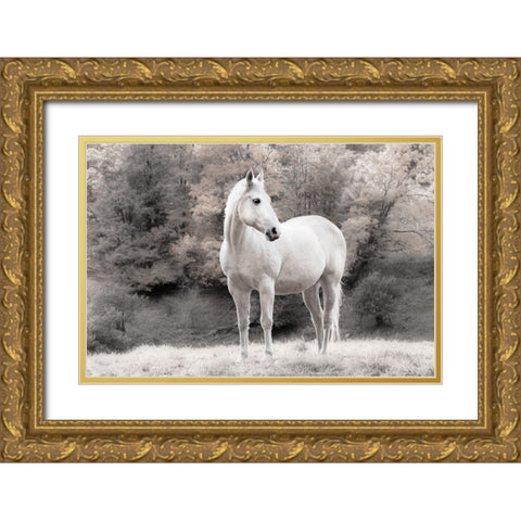 White Mare Gold Ornate Wood Framed Art Print with Double Matting by Jannsen, Brian