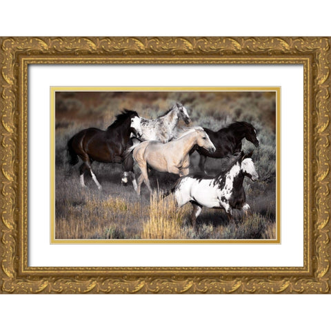 High Prairie Run Gold Ornate Wood Framed Art Print with Double Matting by Delimont, Danita