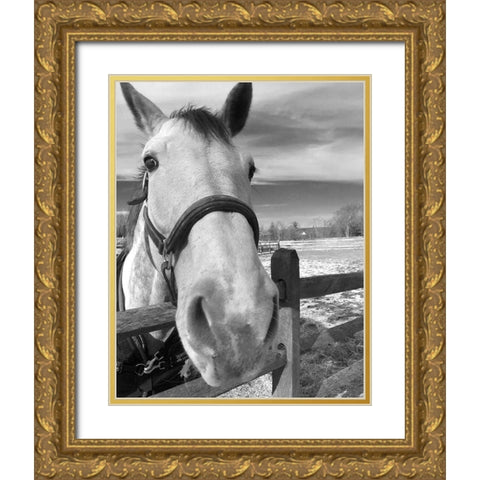 Caen Gold Ornate Wood Framed Art Print with Double Matting by Jill, Susan