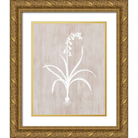 Botany Beauty I Gold Ornate Wood Framed Art Print with Double Matting by CAD Designs