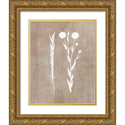 Botany Beauty III Gold Ornate Wood Framed Art Print with Double Matting by CAD Designs