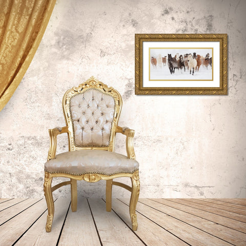 Pasture Run Gold Ornate Wood Framed Art Print with Double Matting by Delimont, Danita