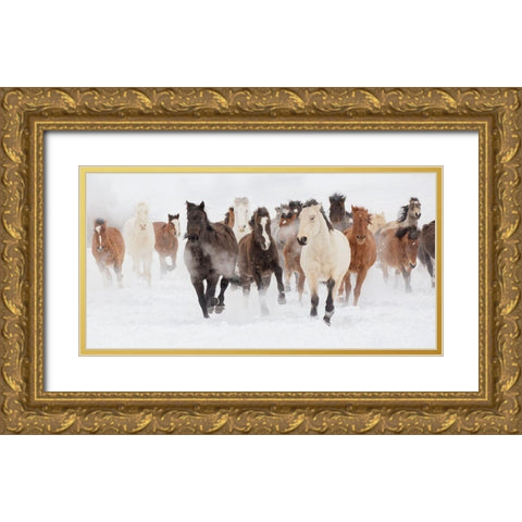 Pasture Run Gold Ornate Wood Framed Art Print with Double Matting by Delimont, Danita