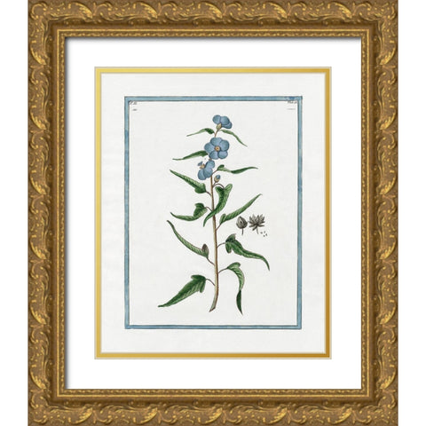 Shabby Chic Botanical I Gold Ornate Wood Framed Art Print with Double Matting by Donovan, Kelly