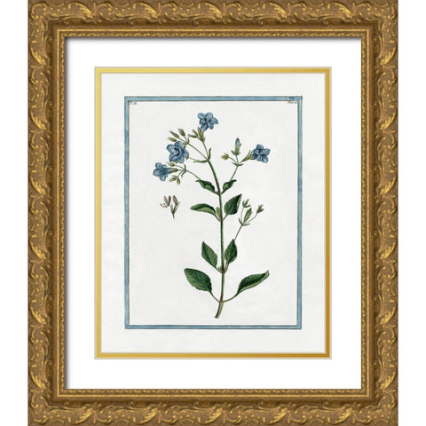 Shabby Chic Botanical II Gold Ornate Wood Framed Art Print with Double Matting by Donovan, Kelly