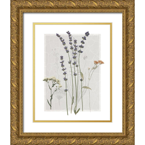 Field Study Page I Gold Ornate Wood Framed Art Print with Double Matting by Robinson, Carol