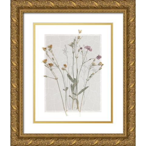 Field Study Page II Gold Ornate Wood Framed Art Print with Double Matting by Robinson, Carol