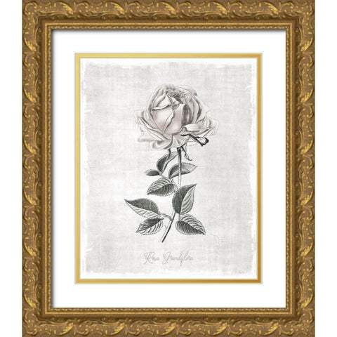 Vintage Botanical II Gold Ornate Wood Framed Art Print with Double Matting by Carpentieri, Natalie