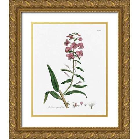 Rose Botanical I Gold Ornate Wood Framed Art Print with Double Matting by CAD Designs