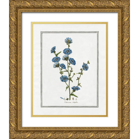 Soft Botanical I Gold Ornate Wood Framed Art Print with Double Matting by CAD Designs