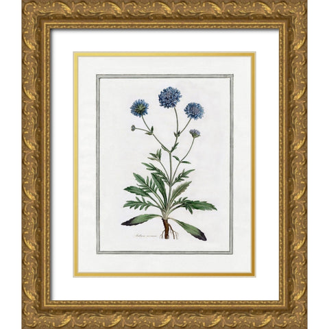 Soft Botanical II Gold Ornate Wood Framed Art Print with Double Matting by CAD Designs
