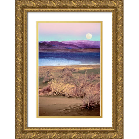 Moonrise, Namibia Gold Ornate Wood Framed Art Print with Double Matting by Delimont, Danita