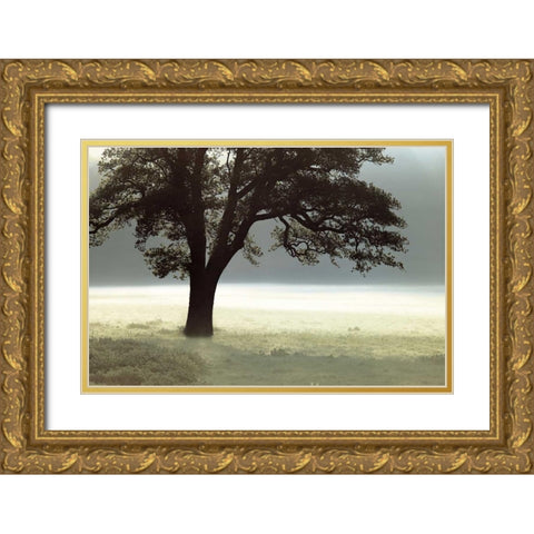 Enlighten Me Gold Ornate Wood Framed Art Print with Double Matting by Frank, Assaf