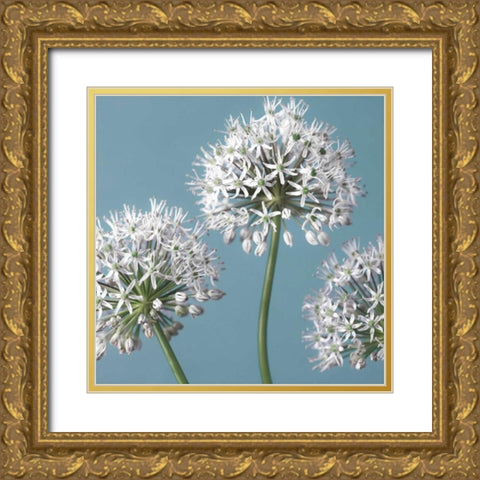 Bliss I Gold Ornate Wood Framed Art Print with Double Matting by Frank, Assaf