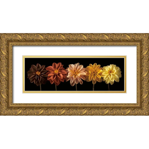 Floral Salute Gold Ornate Wood Framed Art Print with Double Matting by Frank, Assaf