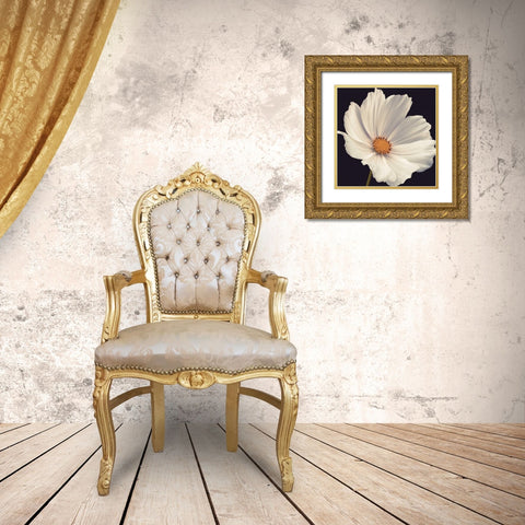 Cosmos I Gold Ornate Wood Framed Art Print with Double Matting by Frank, Assaf