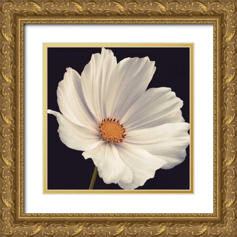 Cosmos I Gold Ornate Wood Framed Art Print with Double Matting by Frank, Assaf