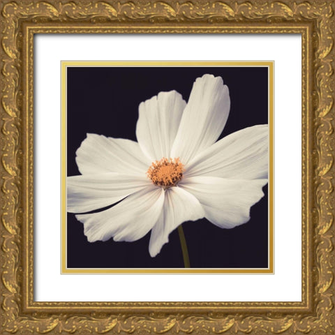 Cosmos II Gold Ornate Wood Framed Art Print with Double Matting by Frank, Assaf