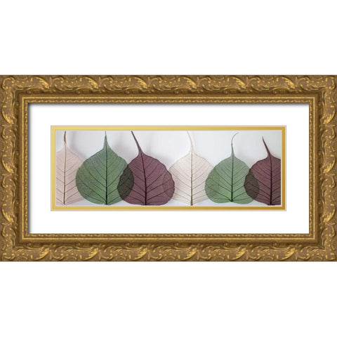 Leafy Address Gold Ornate Wood Framed Art Print with Double Matting by Frank, Assaf