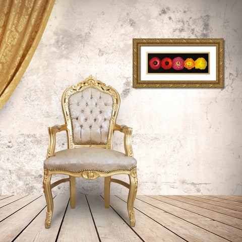 Ranunculus Gold Ornate Wood Framed Art Print with Double Matting by Frank, Assaf