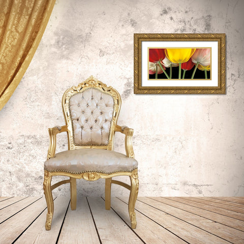 Sunshine Tulips Gold Ornate Wood Framed Art Print with Double Matting by Frank, Assaf