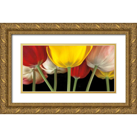Sunshine Tulips Gold Ornate Wood Framed Art Print with Double Matting by Frank, Assaf