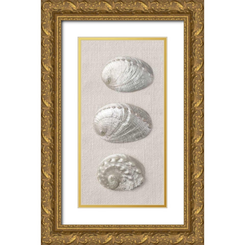 Opalescent I Gold Ornate Wood Framed Art Print with Double Matting by Frank, Assaf