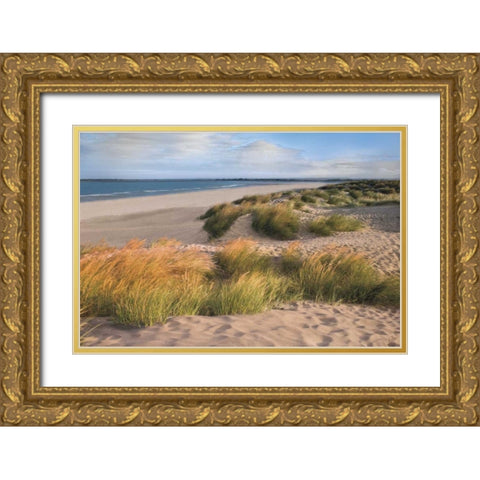 Sandy Shores Gold Ornate Wood Framed Art Print with Double Matting by Frank, Assaf