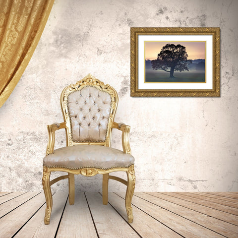 Evening Wisdom Gold Ornate Wood Framed Art Print with Double Matting by Frank, Assaf
