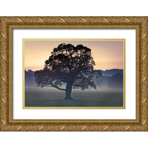 Evening Wisdom Gold Ornate Wood Framed Art Print with Double Matting by Frank, Assaf
