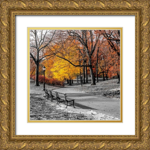 Park Pretty I Gold Ornate Wood Framed Art Print with Double Matting by Frank, Assaf